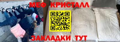 мяу мяу мука Гатчина