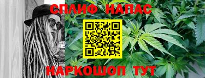 мяу мяу мука Гатчина
