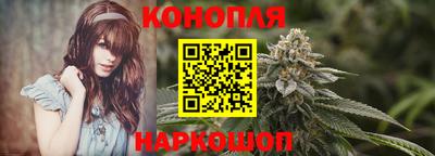 мяу мяу мука Гатчина